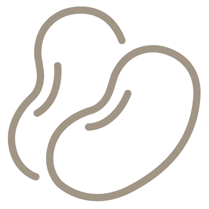 An outline style icon depicting two kidney beans